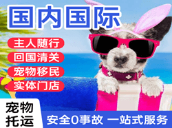 银川航空运输国际宠物托运 【国